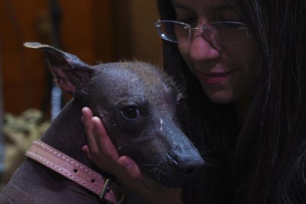 Dog owners tout Xolos loyalty and sacred underworld history AP News